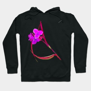 Wandering jew Hoodie